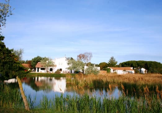 Hôtel les Rizières - Saintes-Maries-de-la-Mer (Bouches-du-Rhône)