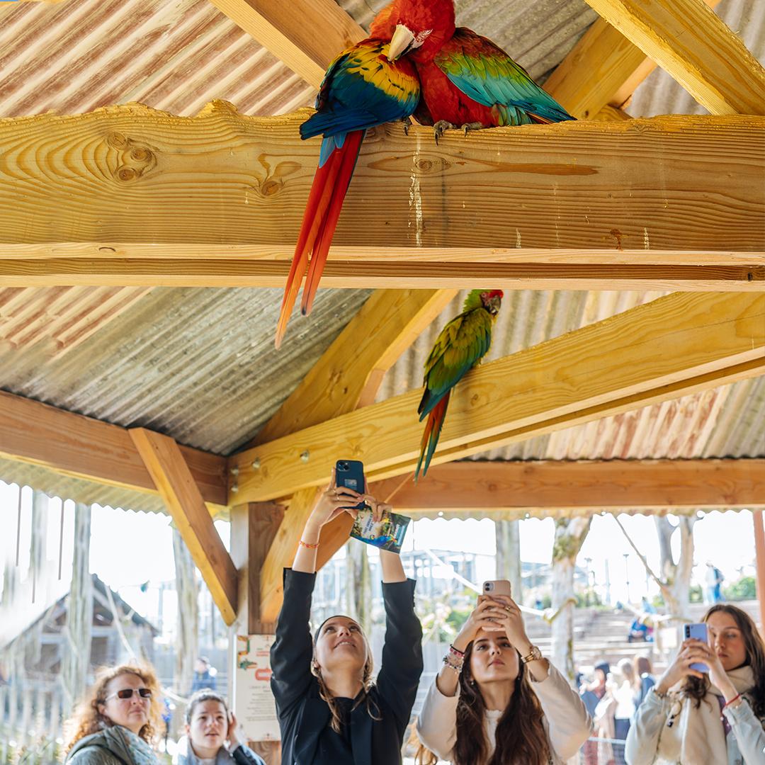 Visite immersive et commentée du parc animalier Parrot World - Crécy-La-Chapelle (77)
