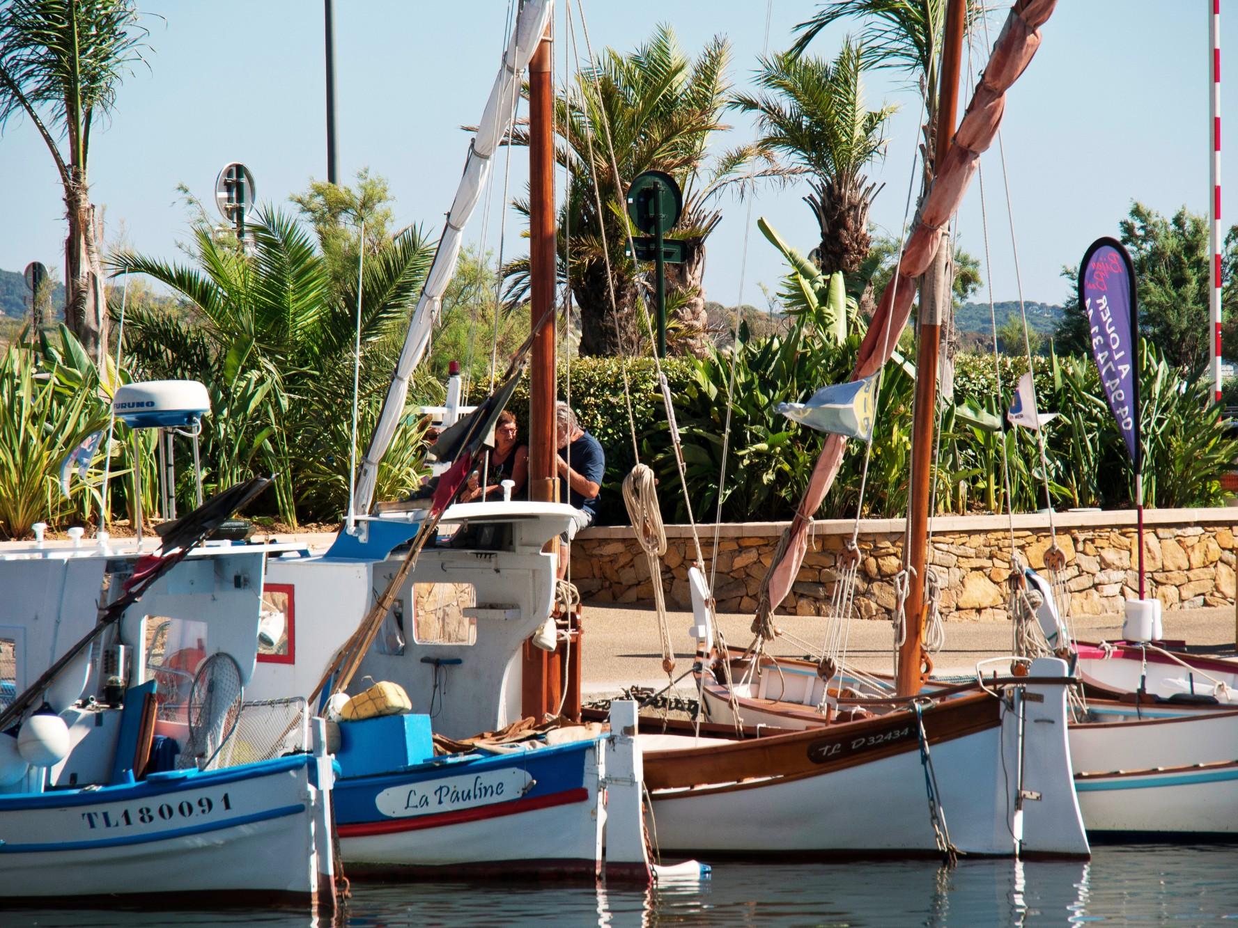 Adonis Sanary - Sanary-sur-Mer (Var)