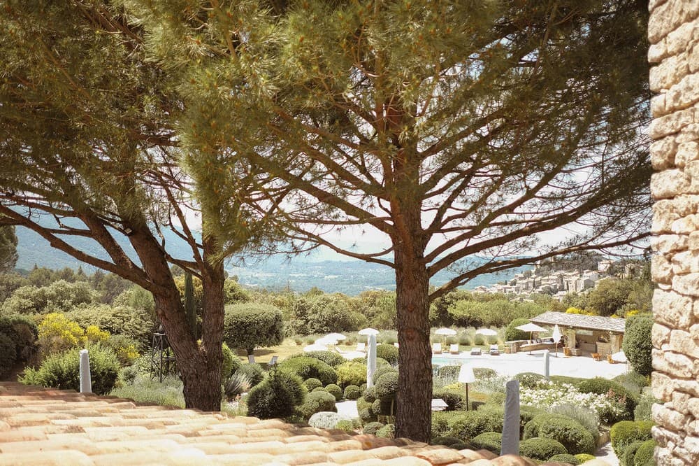 Domaine de Capelongue - Bonnieux (Vaucluse)