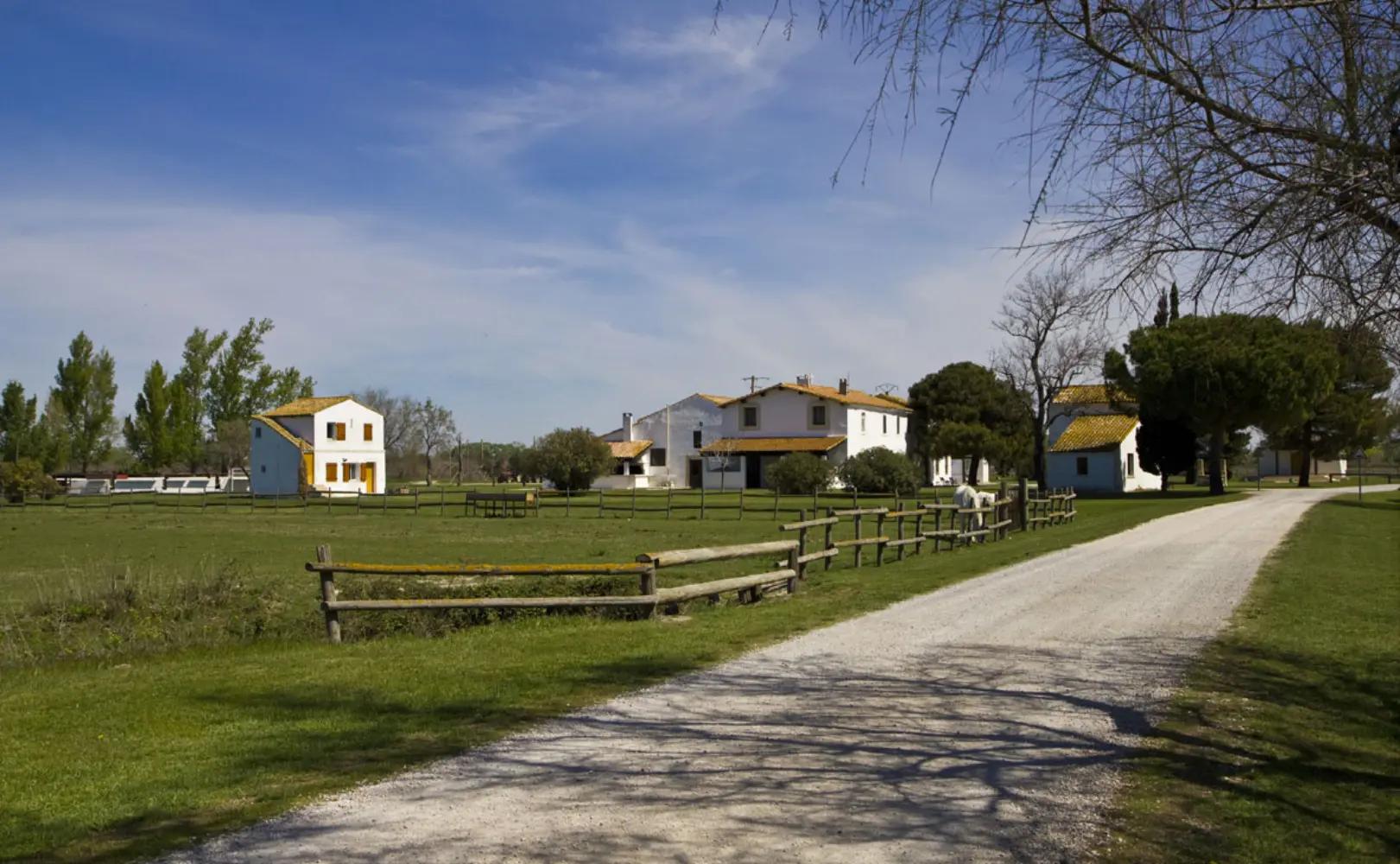 Lou Mas Dou Juge - Saintes-Maries-de-la-Mer (Bouches-du-Rhône)