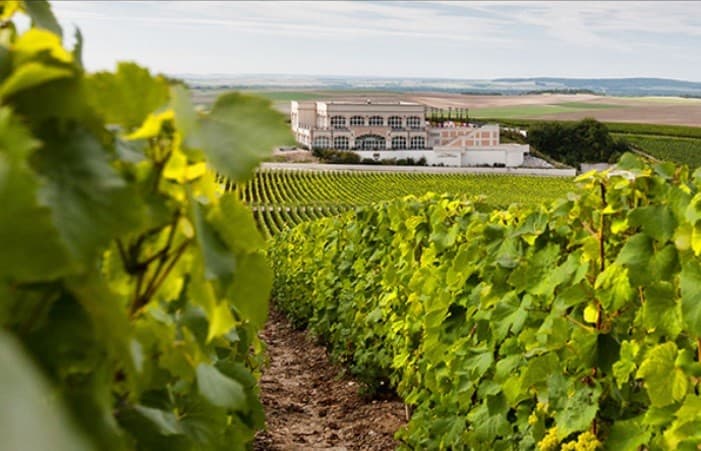 Le Brun de Neuville - Bethon (Marne)