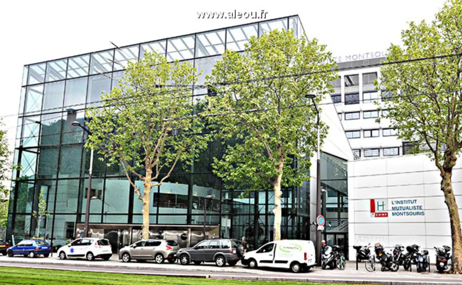 Institut Mutualiste Montsouris - Paris (Paris)