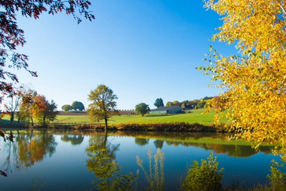 Etoile de Pompadour - Beyssac (Corrèze)