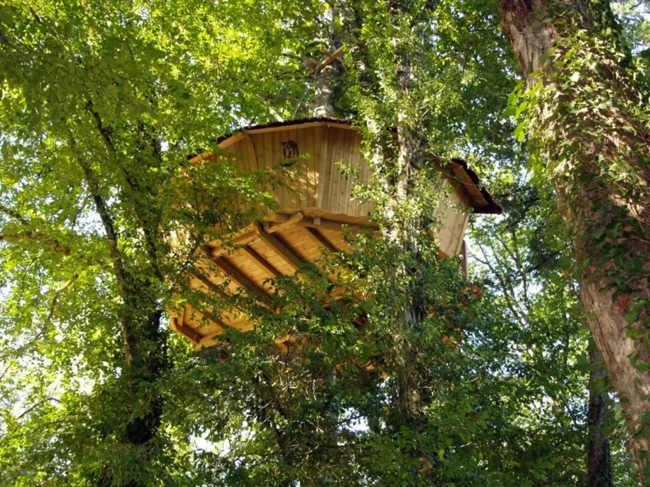 Parc de la Belle - Magné (Vienne)