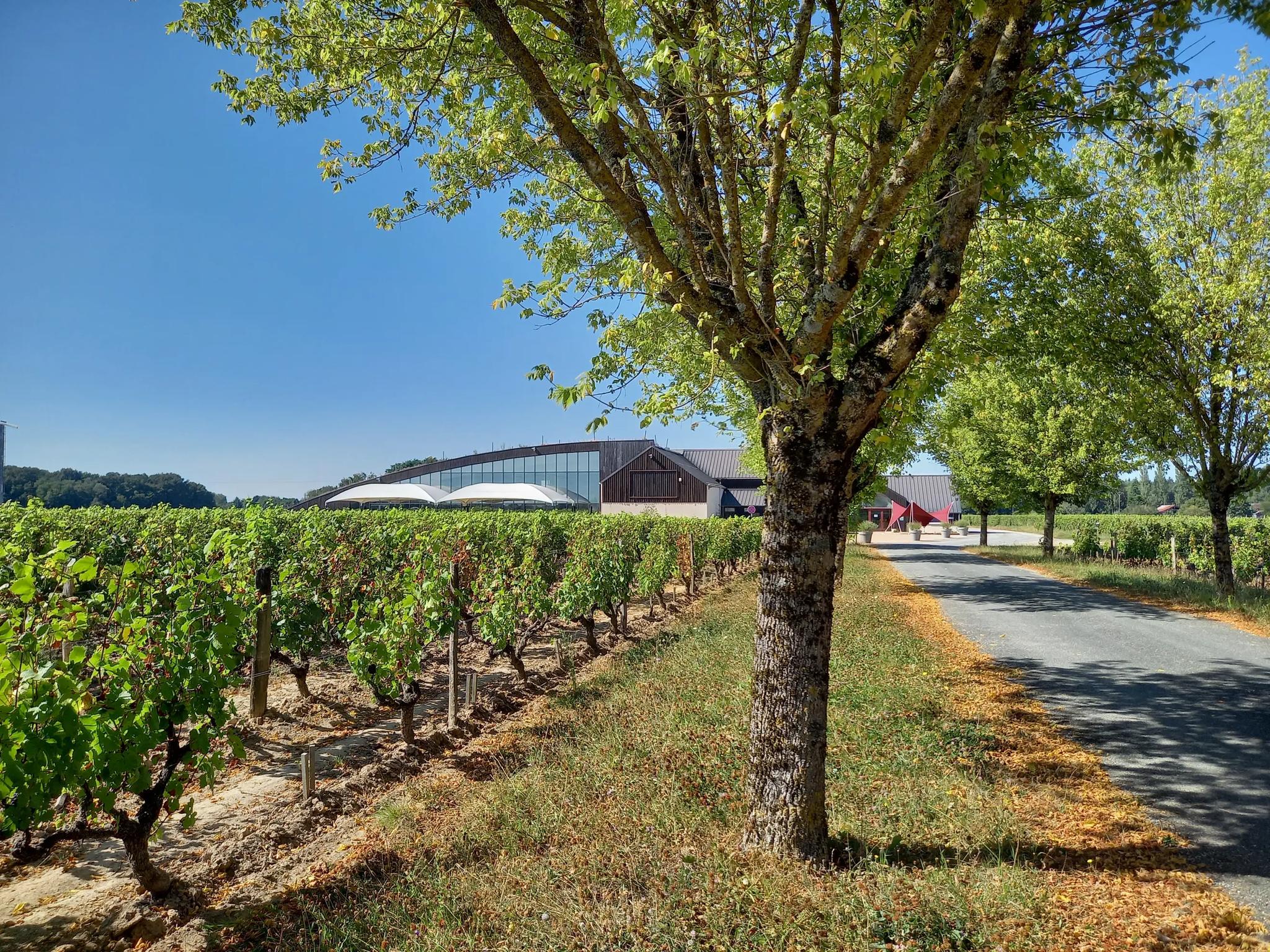Domaine La Porte Dorée - Cheverny (Loir-et-Cher)