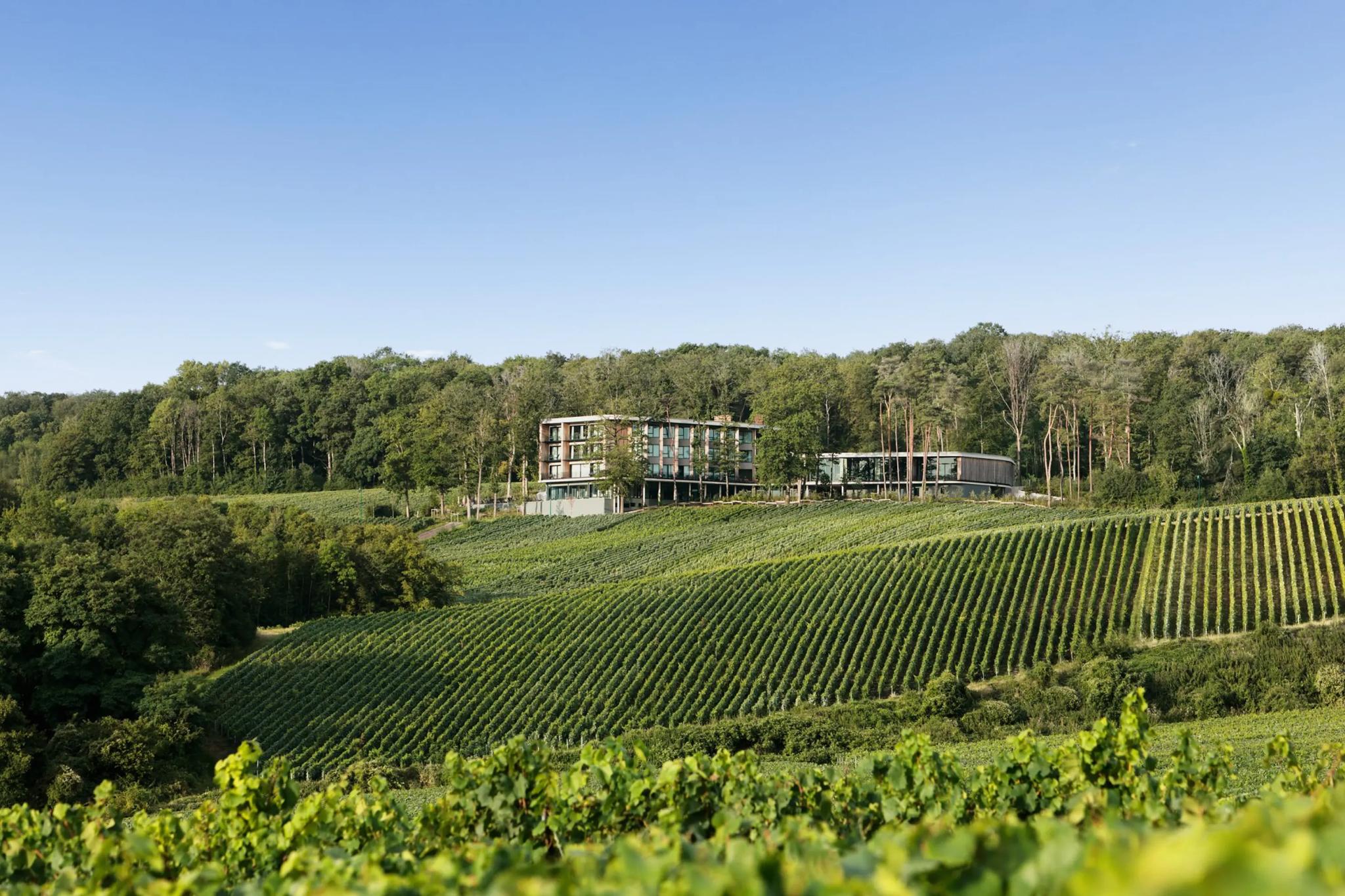 Loisium Wine and Spa Hôtel Champagne - Mutigny (Marne)