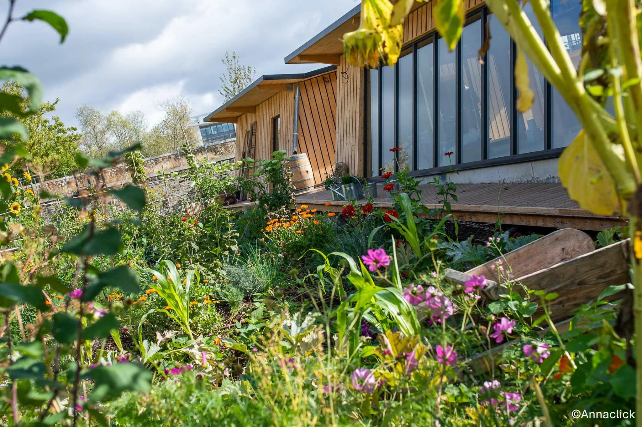 La Ferme Nature et Découvertes - Versailles (Yvelines)