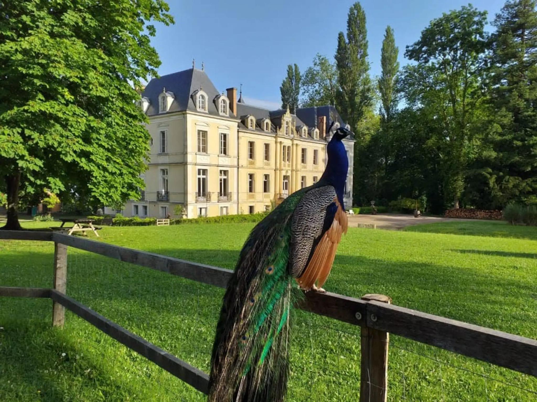 Château de Ouézy - Ouézy (Calvados)