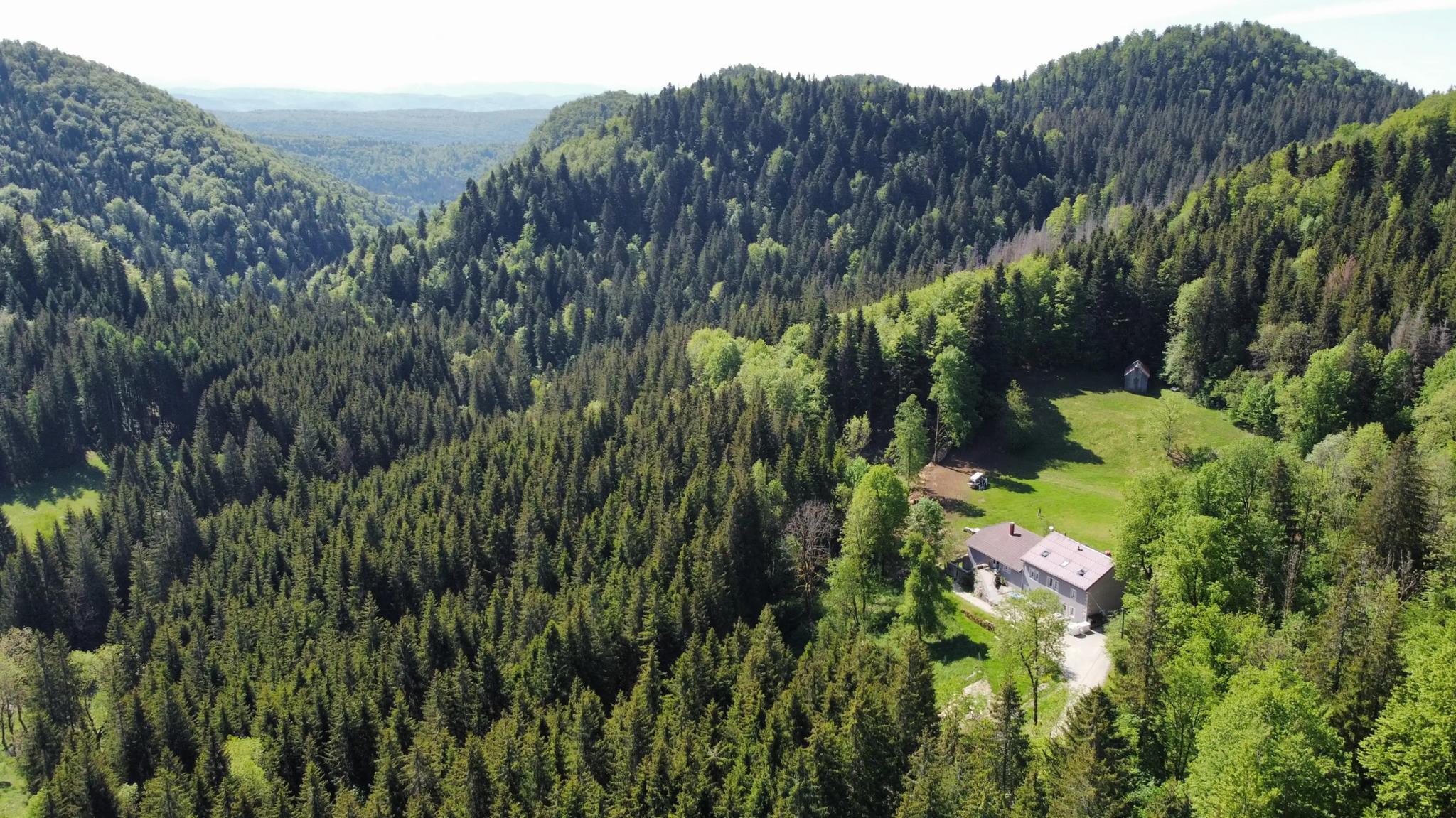 Le Coupet - Les Crozets (Jura)