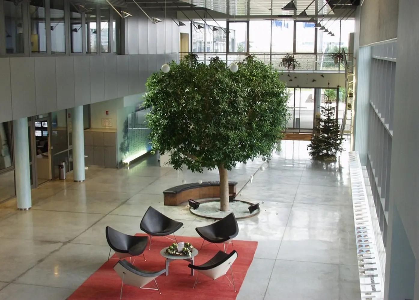 Décotropic - ROSHEIM (Bas-Rhin)