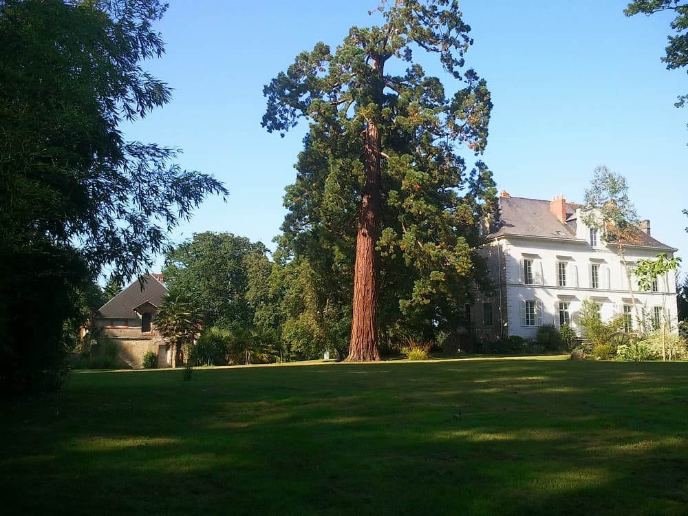 Domaine du Thiemay - Fay-de-Bretagne (Loire-Atlantique)