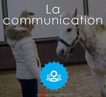 L'Academie Equicoaching.fr - PARIS (Paris)