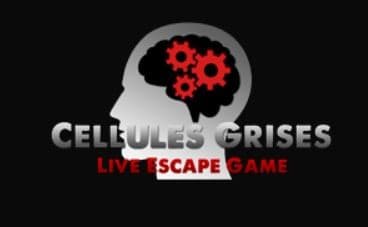 Cellules Grises - EVREUX (Eure)