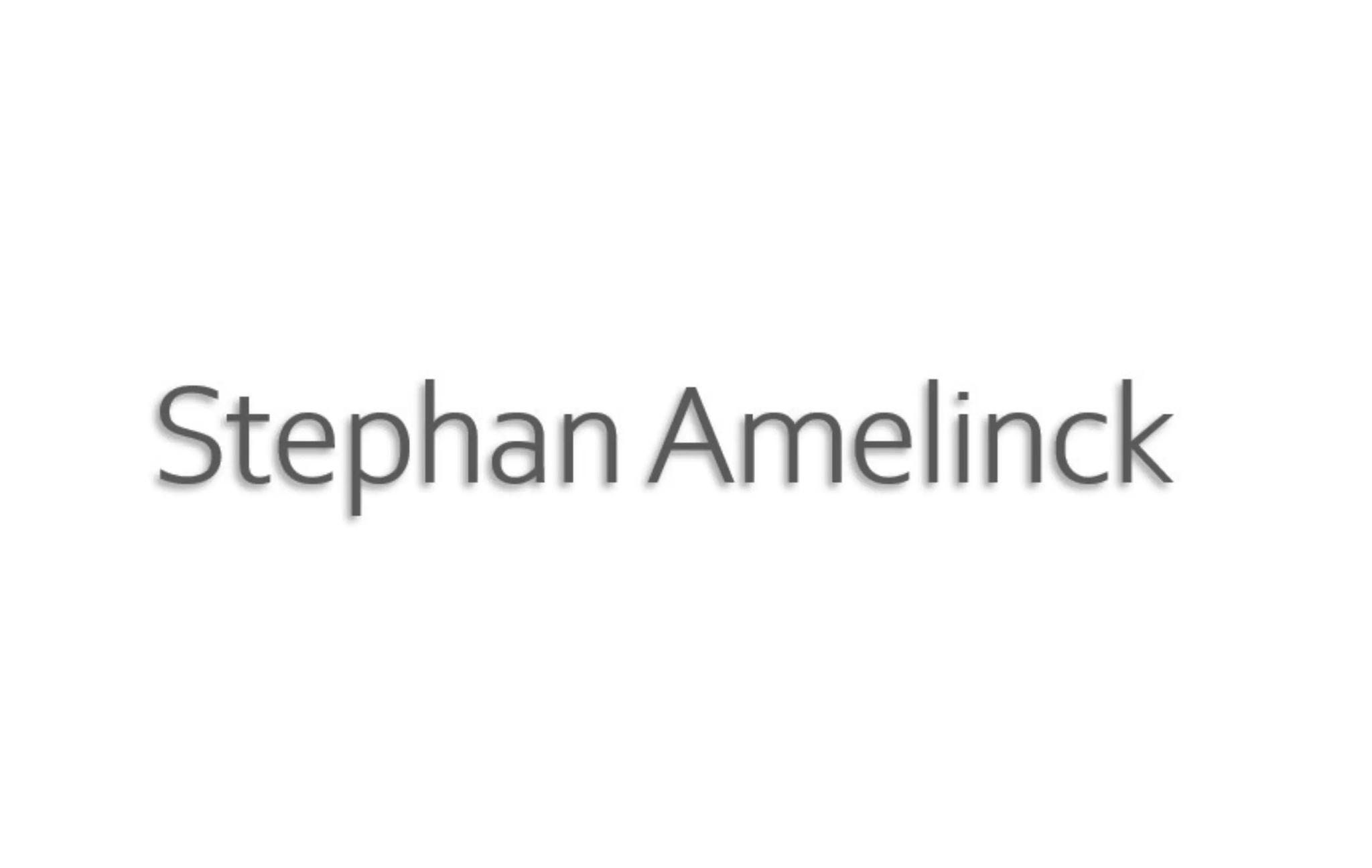 Stéphan Amelinck - CAPBRETON (Landes)