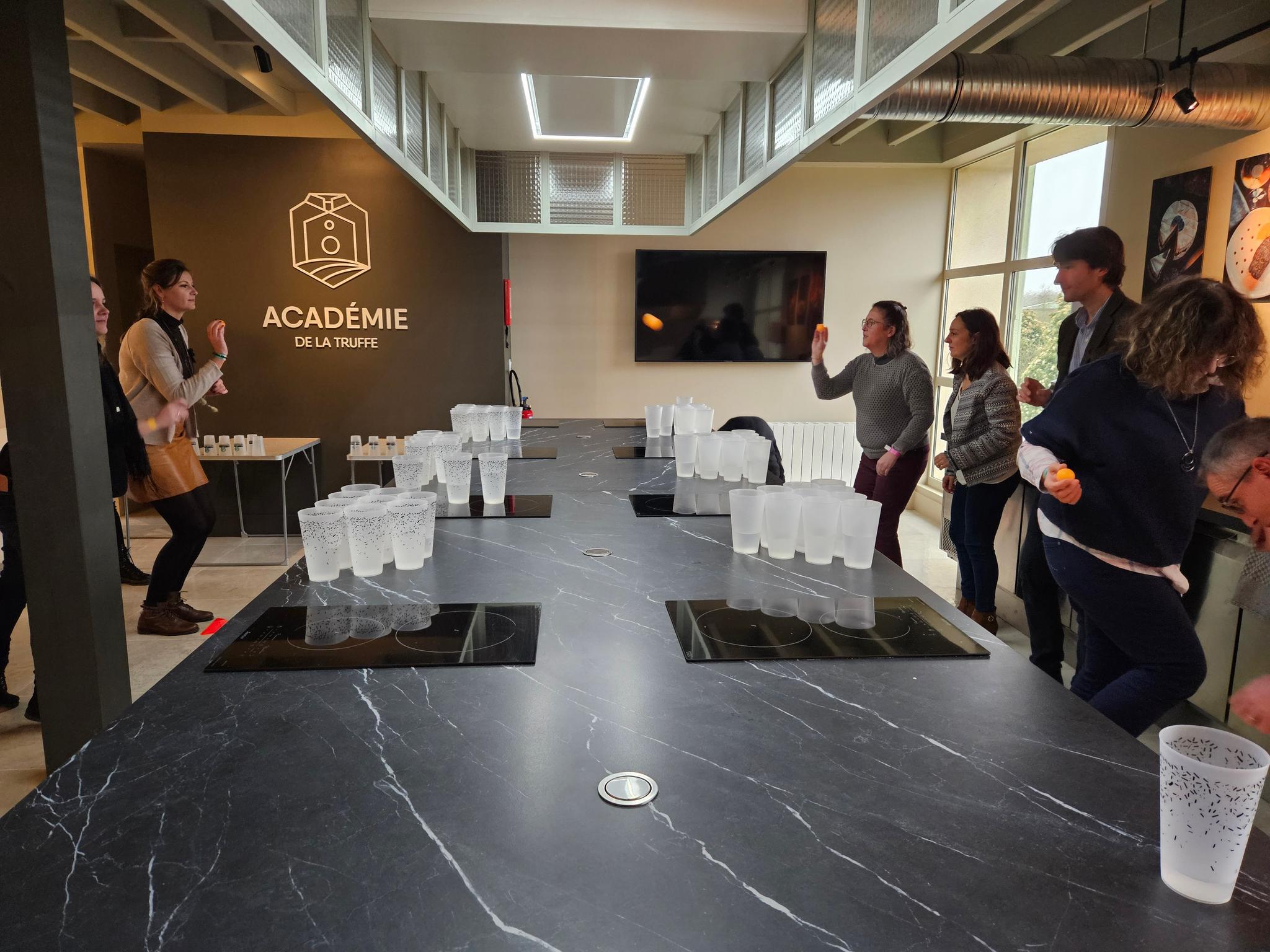 Fort Gaillard - Chinon - TOURS (37)