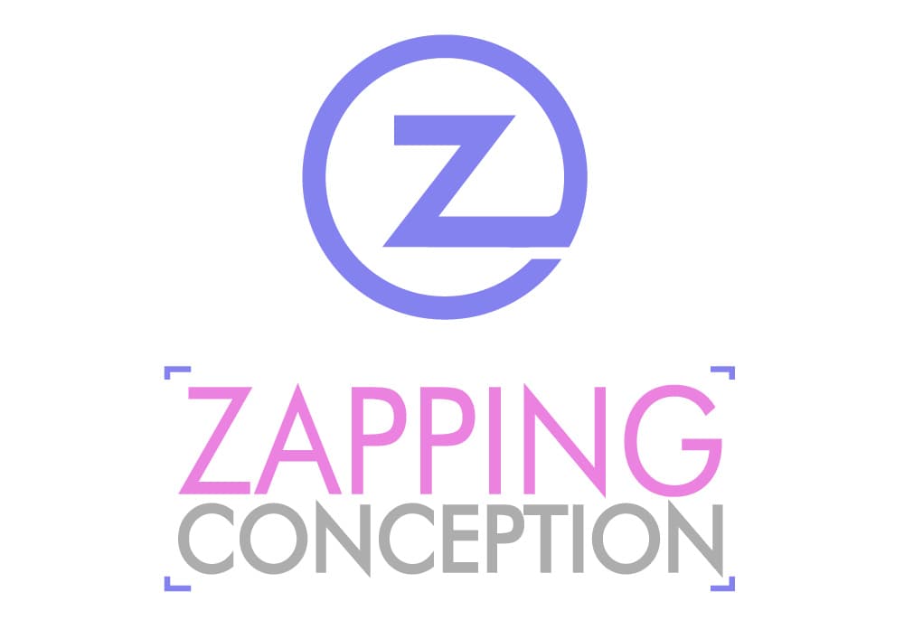 Zapping Conception - BORDEAUX (Gironde)
