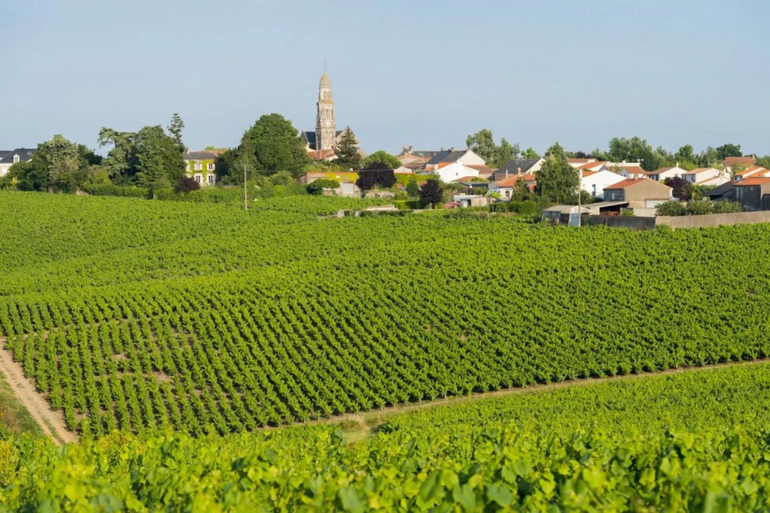 Office de Tourisme du Vignoble de Nantes - CLISSON (Loire-Atlantique)