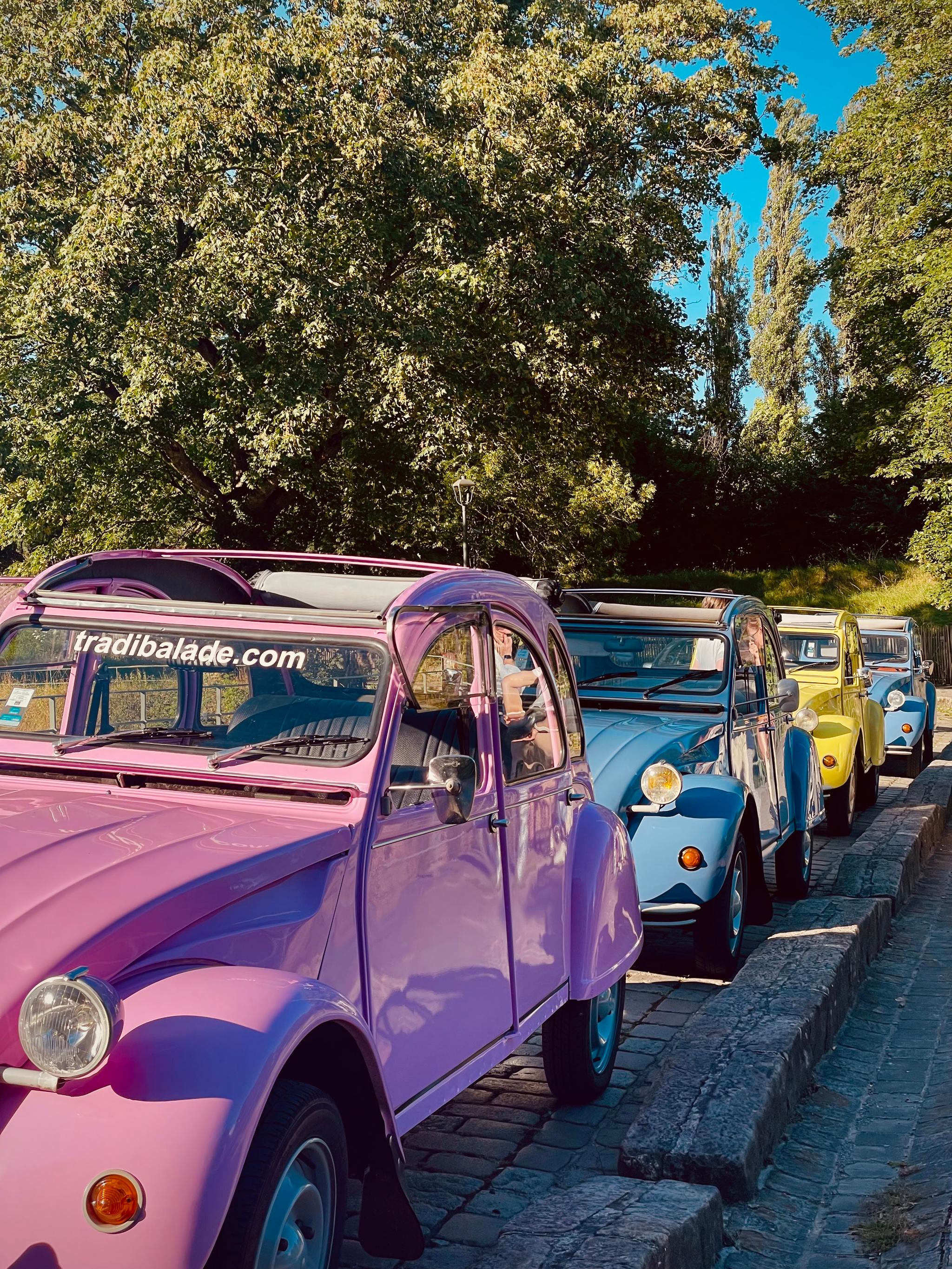Visites de Lille en 2CV - LILLE (Nord)