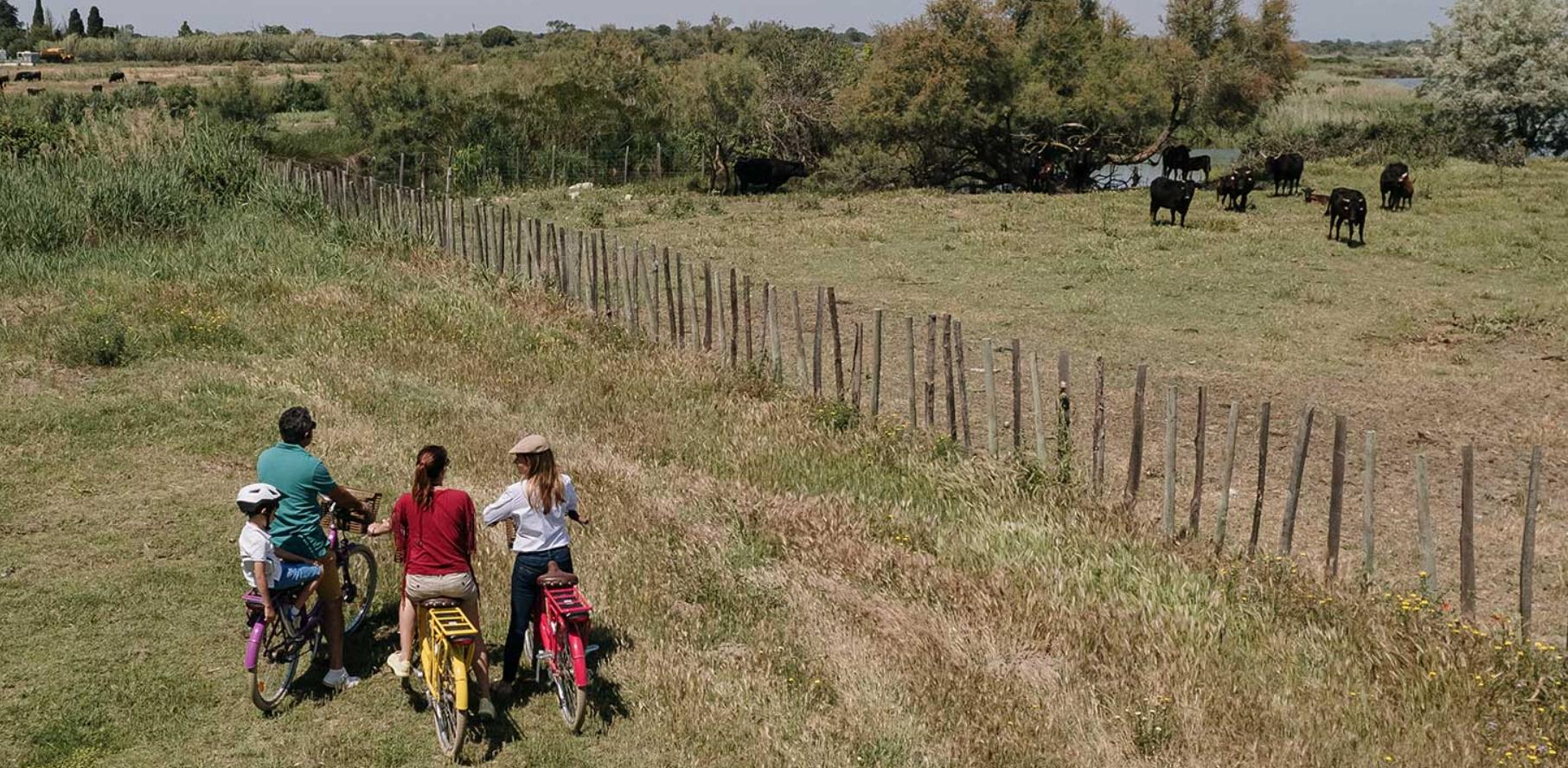 Excursion Vélo - LE GRAU-DU-ROI (30)