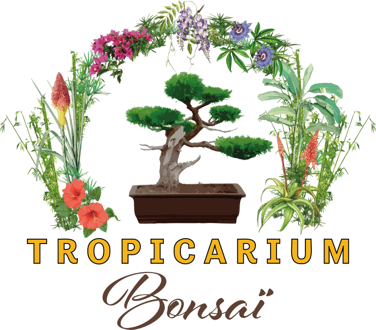 Tropicarium Bonsaï - LA BAULE (Loire-Atlantique)