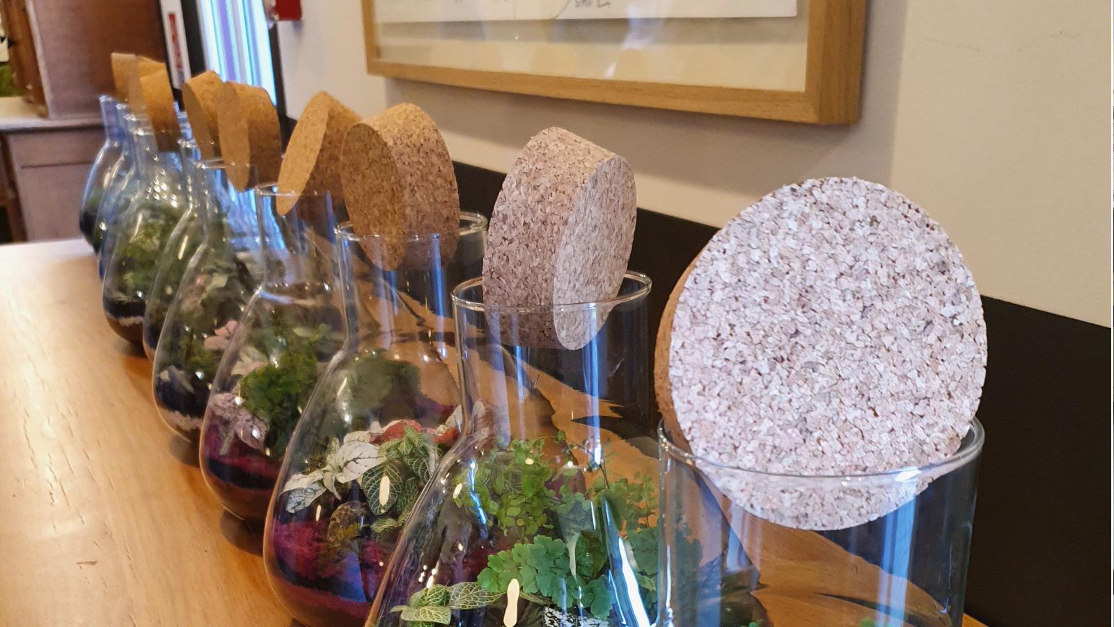 Atelier Terrarium - Saint-Arnoult-en-Yvelines (78)