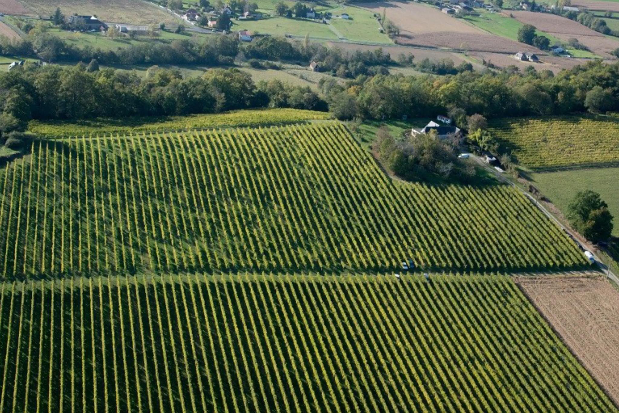 Domaine Bordenave - MONEIN (Pyrénées-Atlantiques)