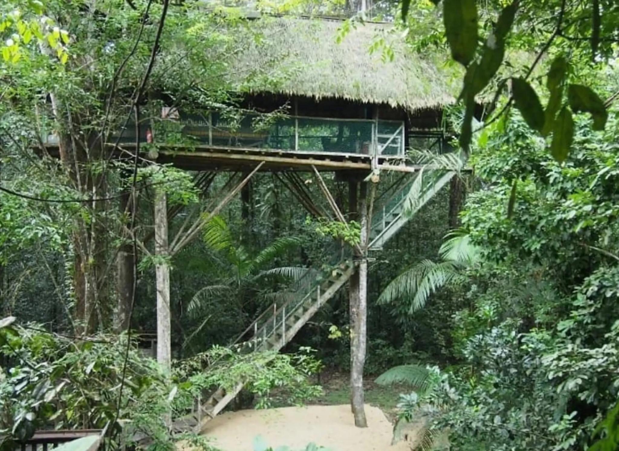 Canopée Guyane - KOUROU (Guyane)
