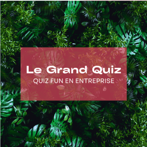🧠 Grand Quiz – Le quiz sur-mesure qui réveille vos équipes ! 🎤🍸 - Lille (59)