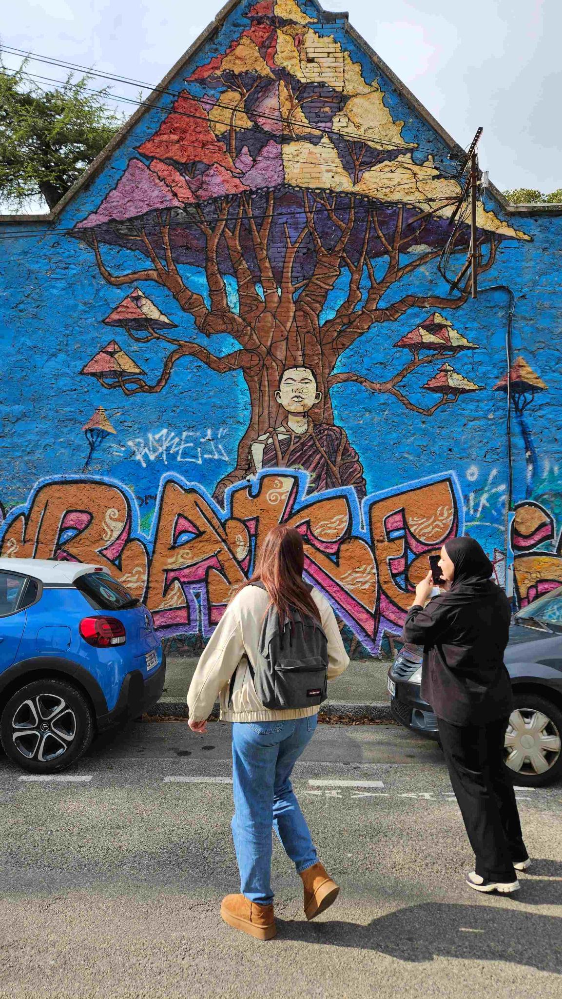 Rallye street-art à Grenoble - Lille (59)