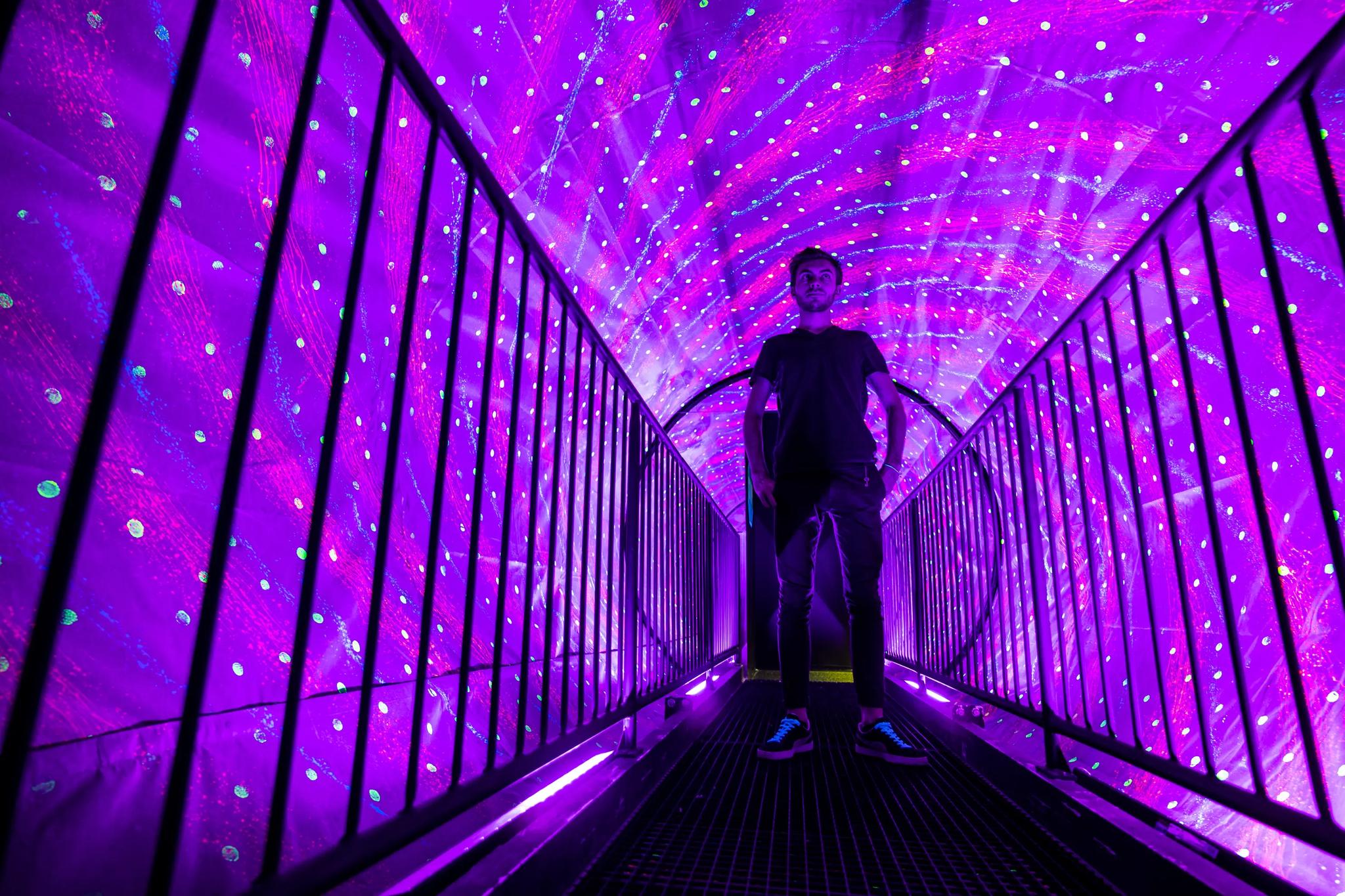 Musée de l'Illusion Paris - PARIS (Paris)