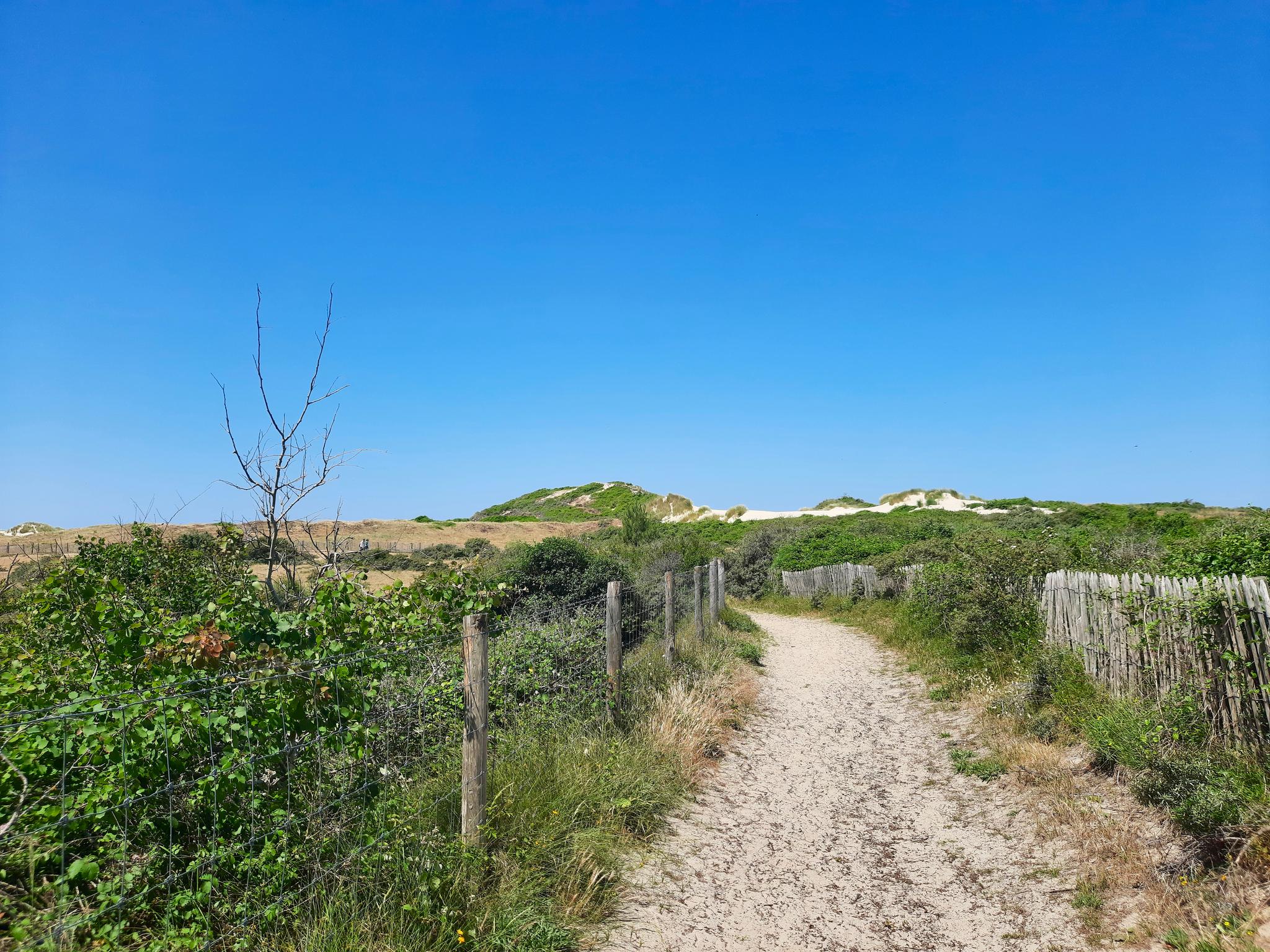 Randonnée mystère des Dunes du Royon - MIANNAY (80)