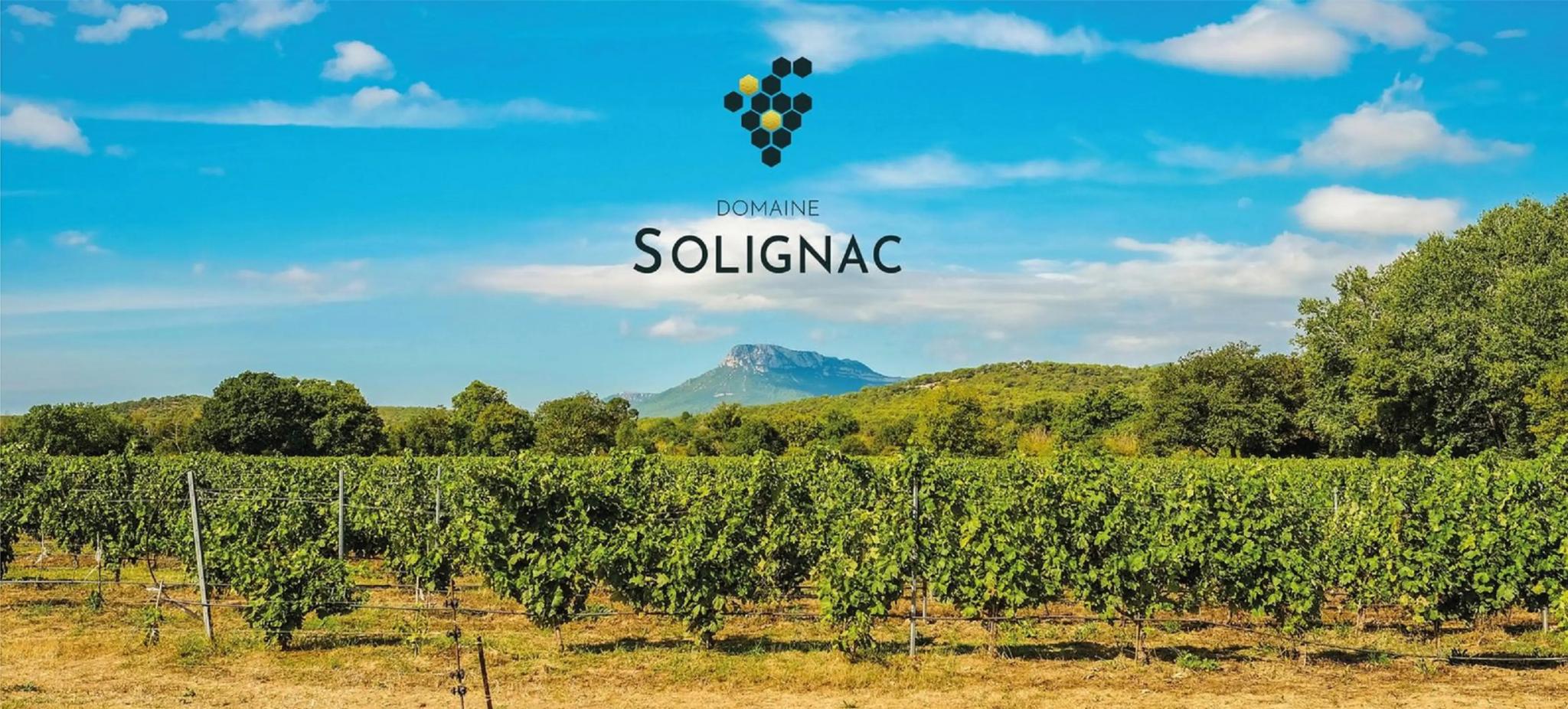 Domaine Solignac - HYERES (Var)