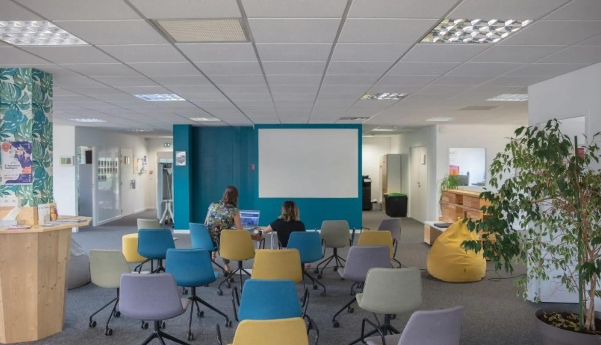 ESAT - Espace Colab - LYON (Rhône)