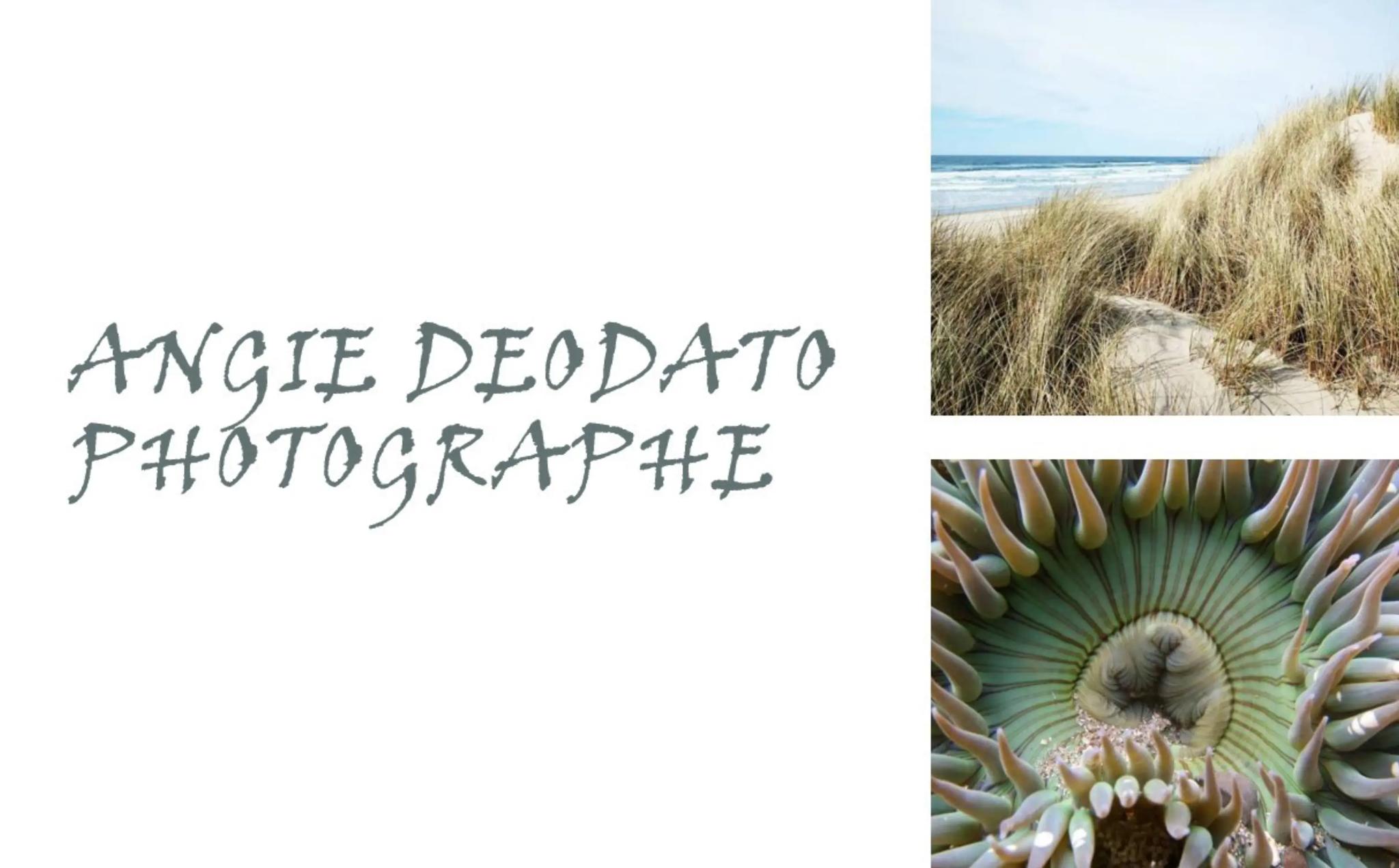 Angie Deodato photographe - BERGERAC (Dordogne)