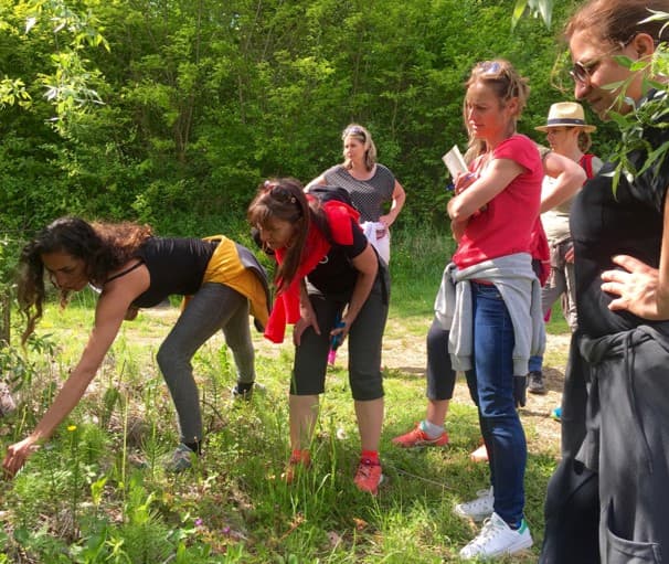 Immersion Nature - Nanterre (92)