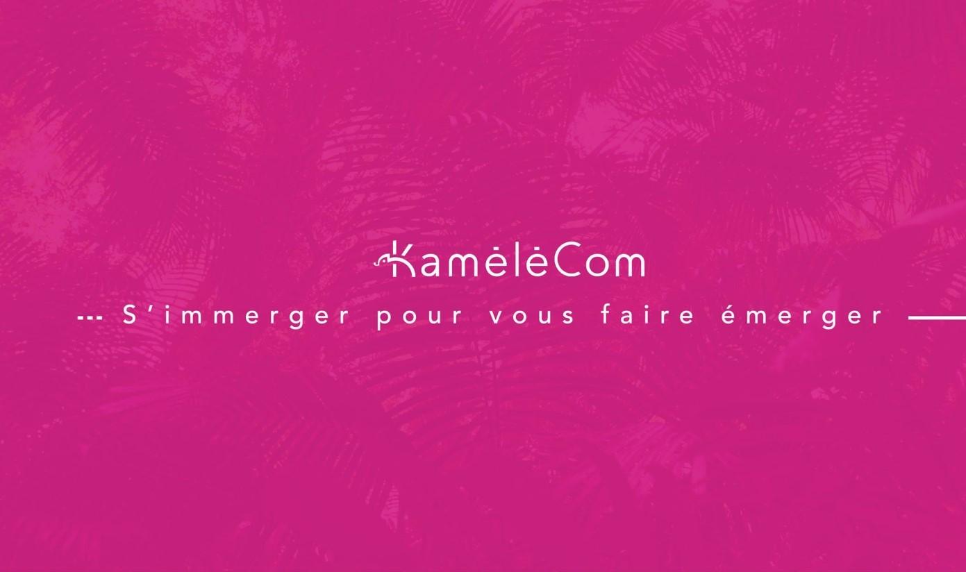 Kamélécom - FACHES-THUMESNIL (Nord)