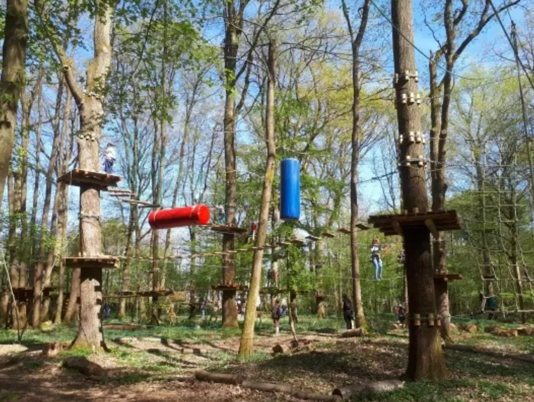 Forest Arena - CESSON (Seine-et-Marne)