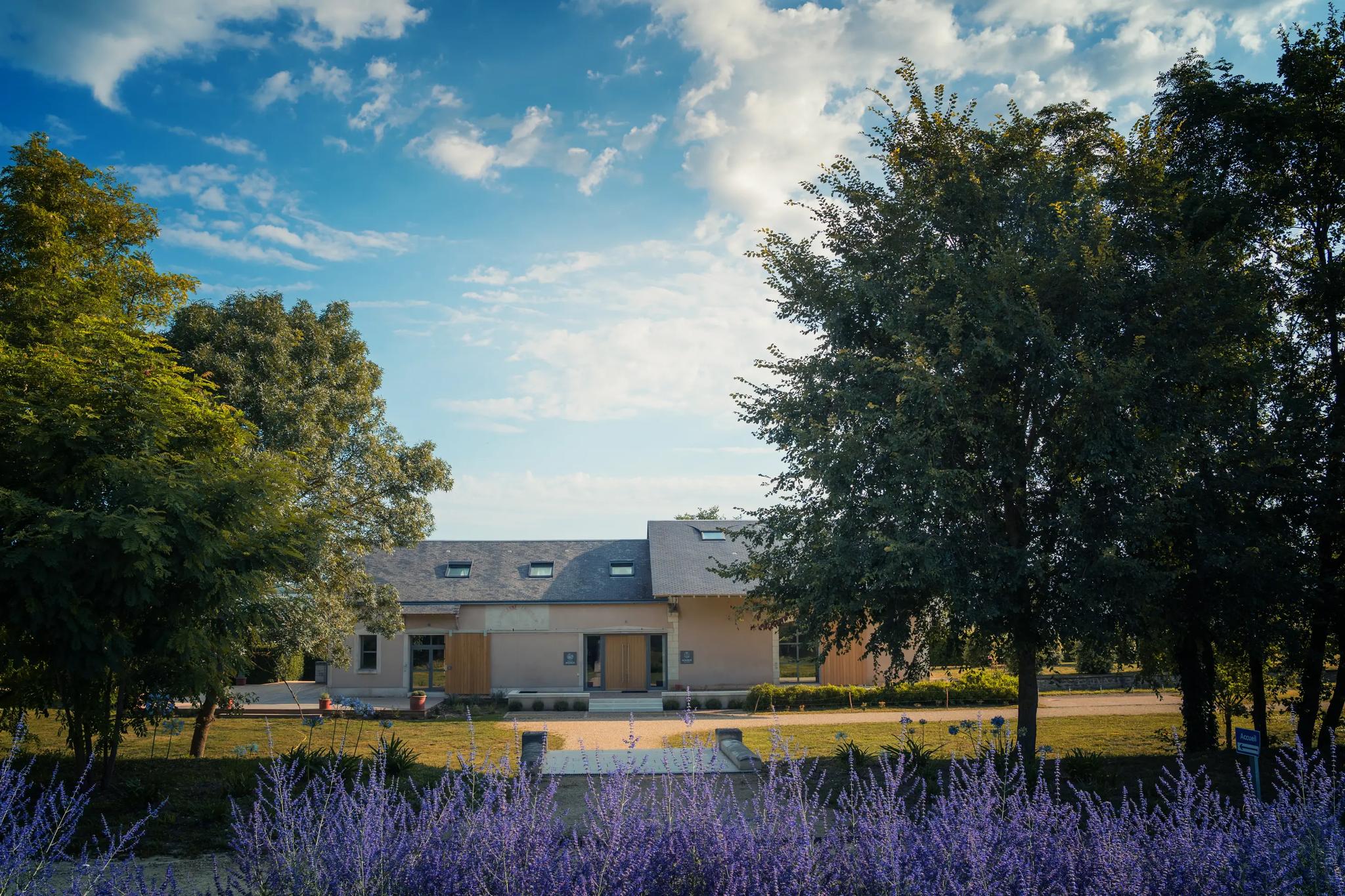 Domaine du Moribot - Ligré (Indre-et-Loire)