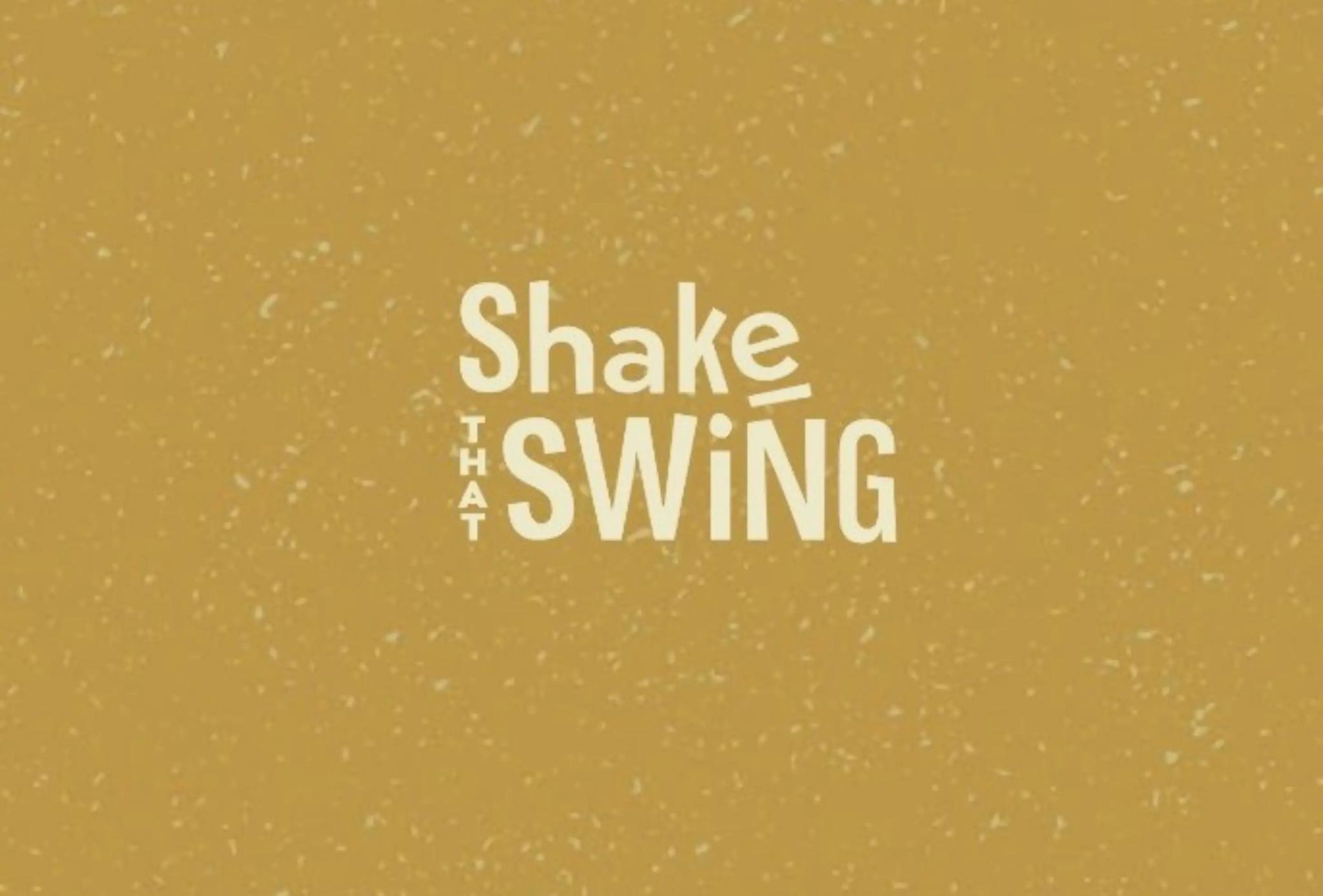 Shake That Swing - Paris (Paris)