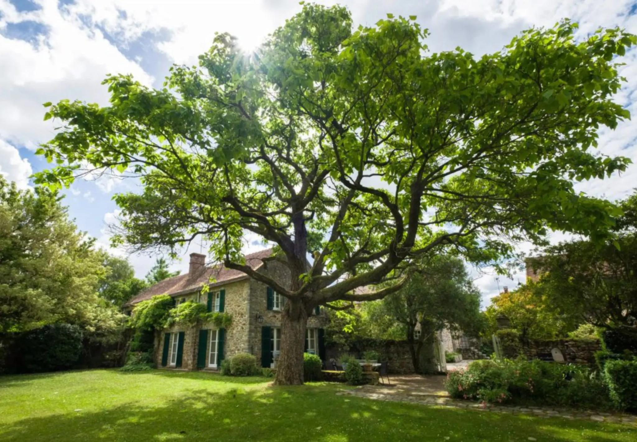 Domaine de la Marcotte - Saint-Martin-en-Bière (Seine-et-Marne)