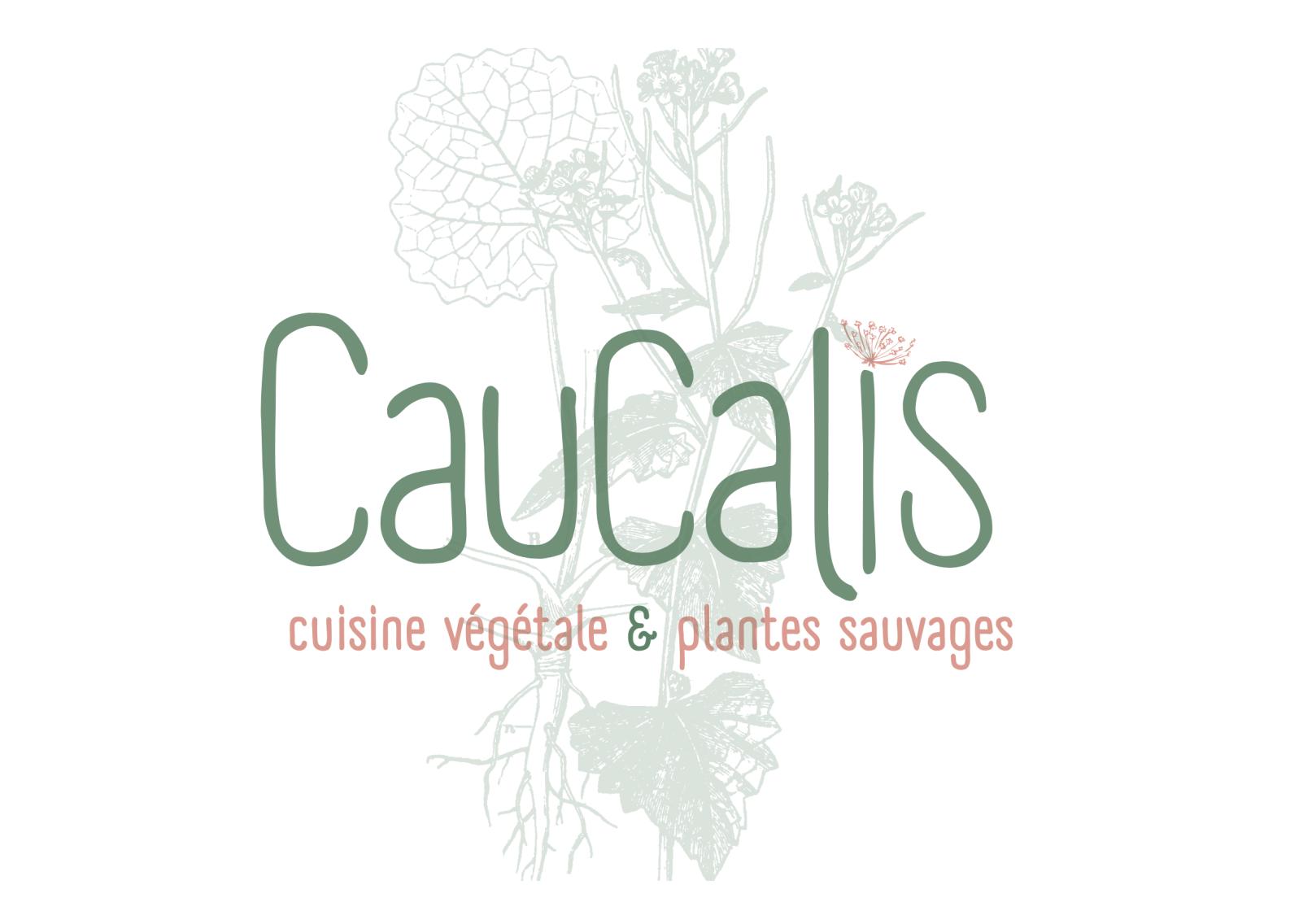 Caucalis - Montreuil (Seine-Saint-Denis)