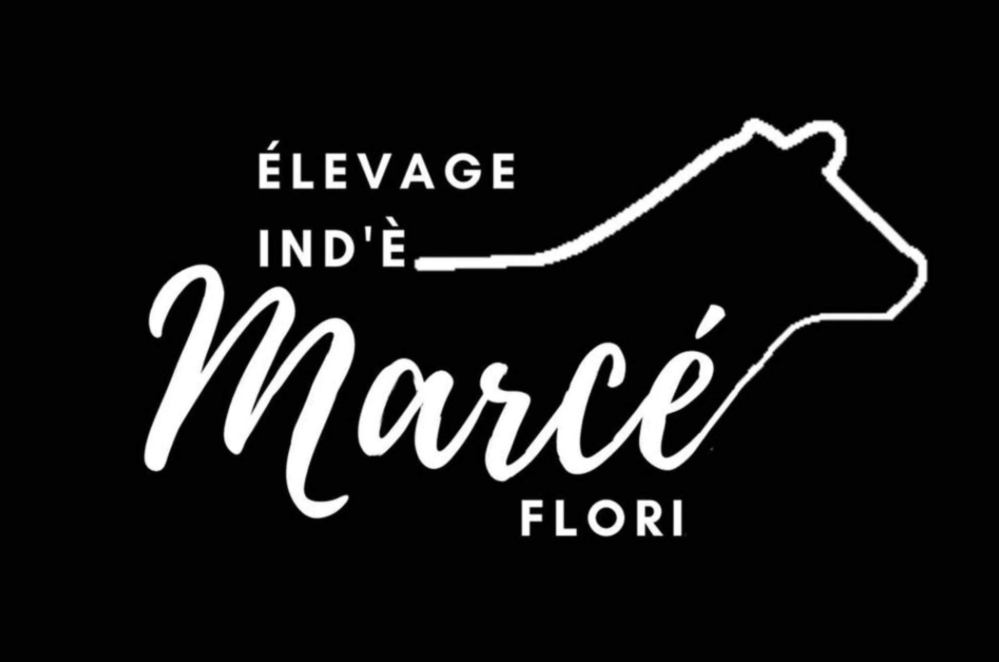 Flori Marcel - Belgodère (Corse 2A-2B)