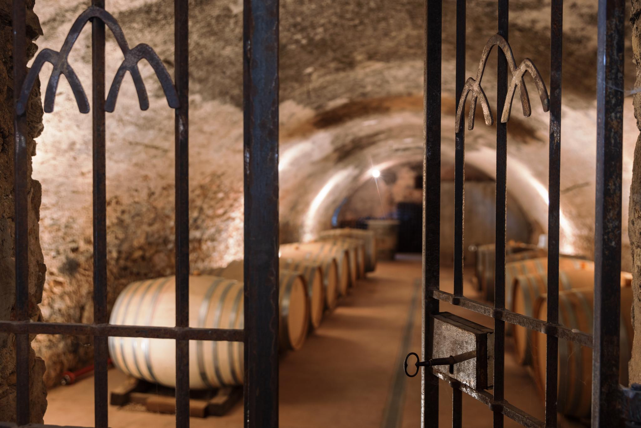 Atelier assemblage des vins - BRIGNOLES (83)