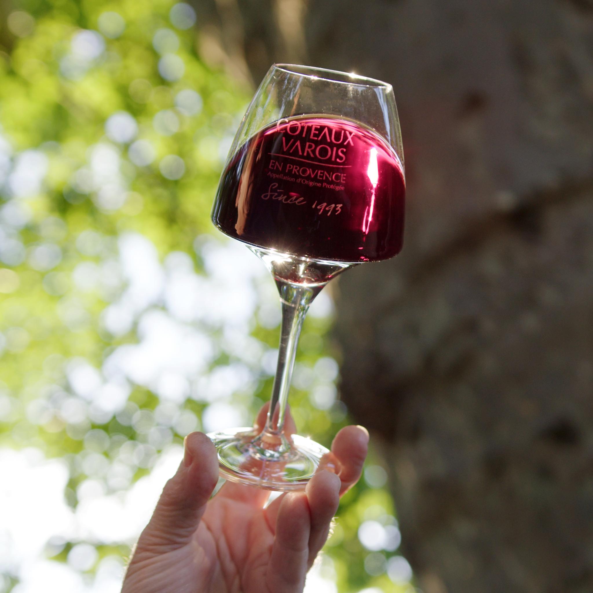 Dégustation et accords mets et vins - BRIGNOLES (Var)