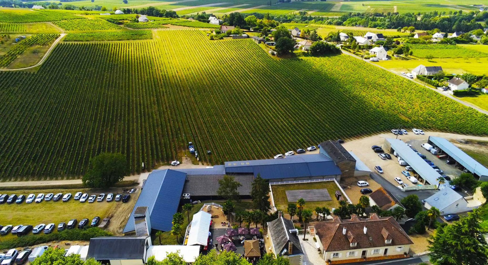 Domaine Angelliaume - Cravant-les-Côteaux (Indre-et-Loire)