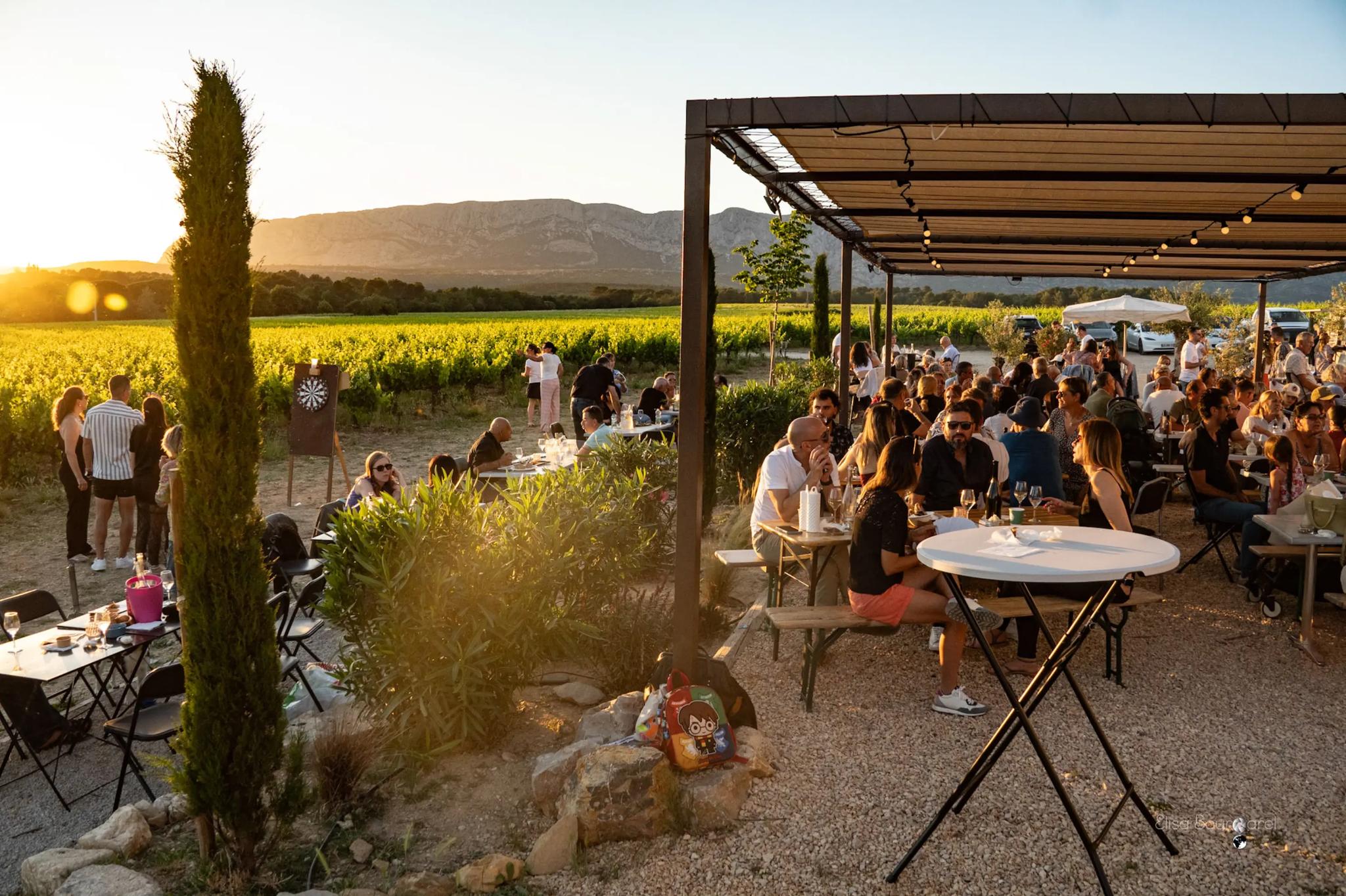 Domaine Jas Monges - Trets (Bouches-du-Rhône)