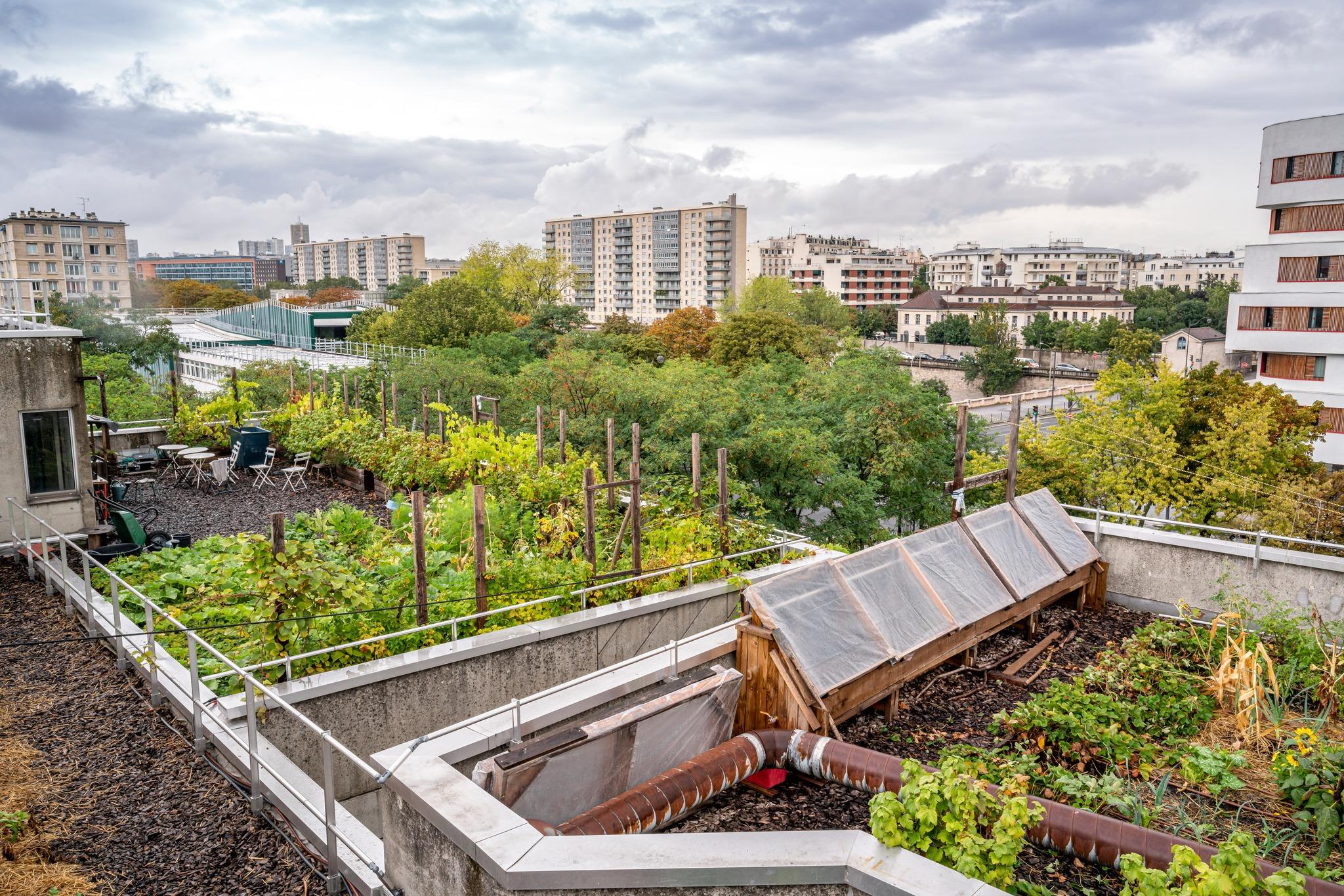 Veni Verdi - Paris (Paris)
