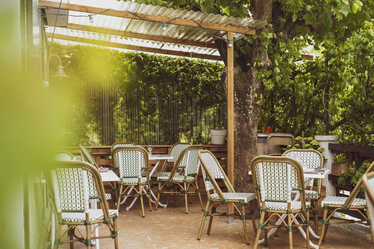 Bistro Sauvage - Annecy (Haute-Savoie)