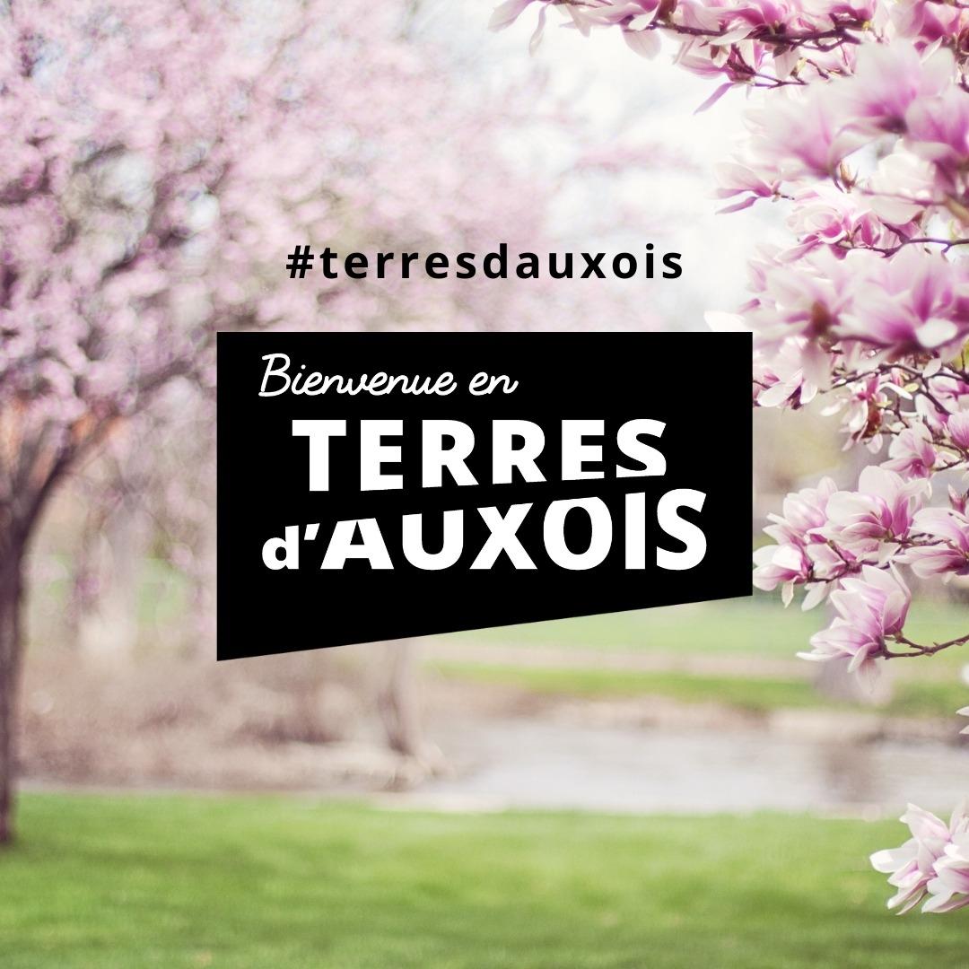 Office de Tourisme des Terres d'Auxois - Semur-en-Auxois (Côte-d'Or)